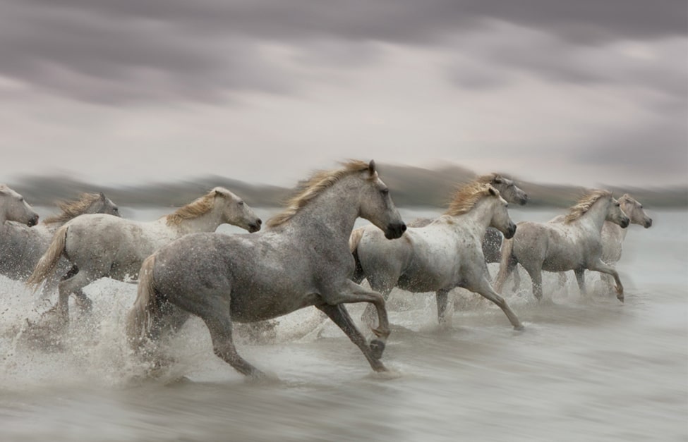 learn photography online masterclass