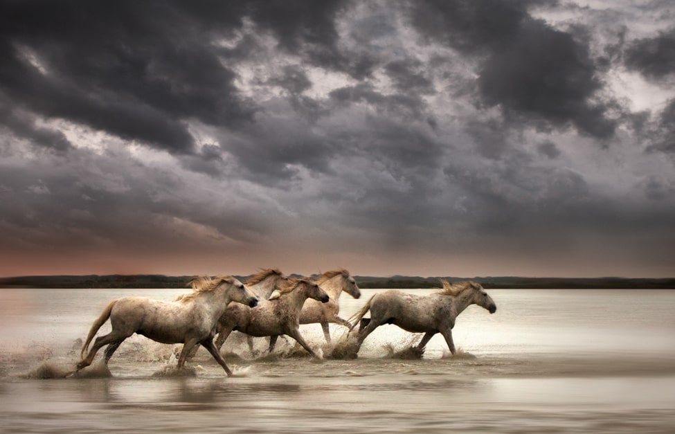 online photography course