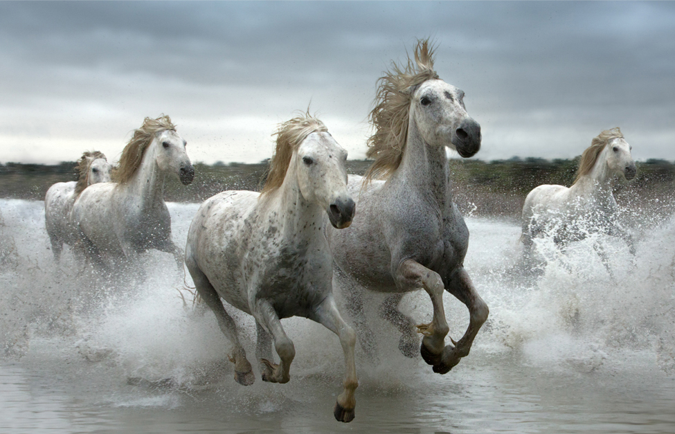learn photography online masterclass