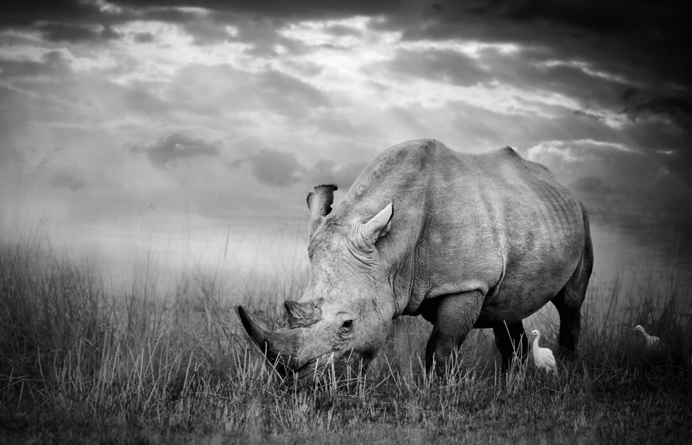 learn photography online masterclass