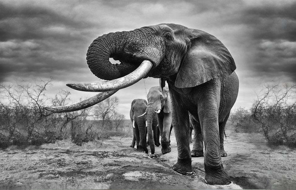 learn photography online masterclass